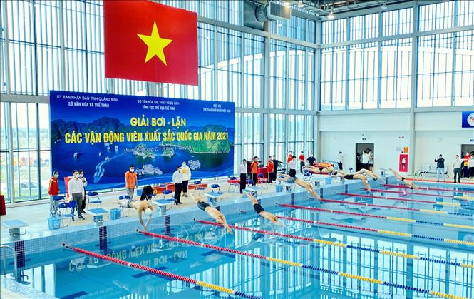 Gần 200 vận động viên tham dự giải Bơi, Lặn các vận động viên xuất sắc quốc gia năm 2021
