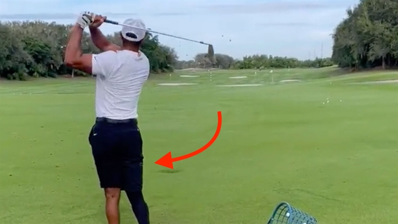 Tiger Wood trở lại