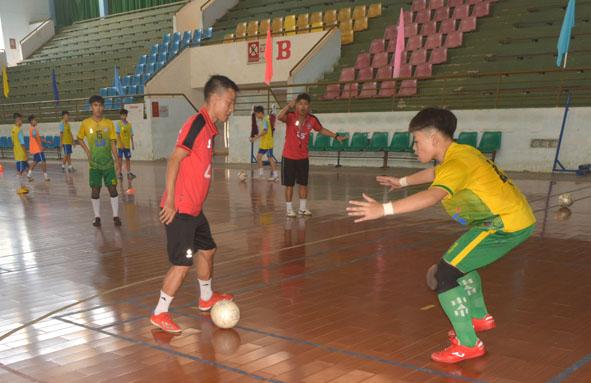 Câu lạc bộ Futsal Thái Sơn Nam Buôn Ma Thuột tuyển sinh vận động viên
