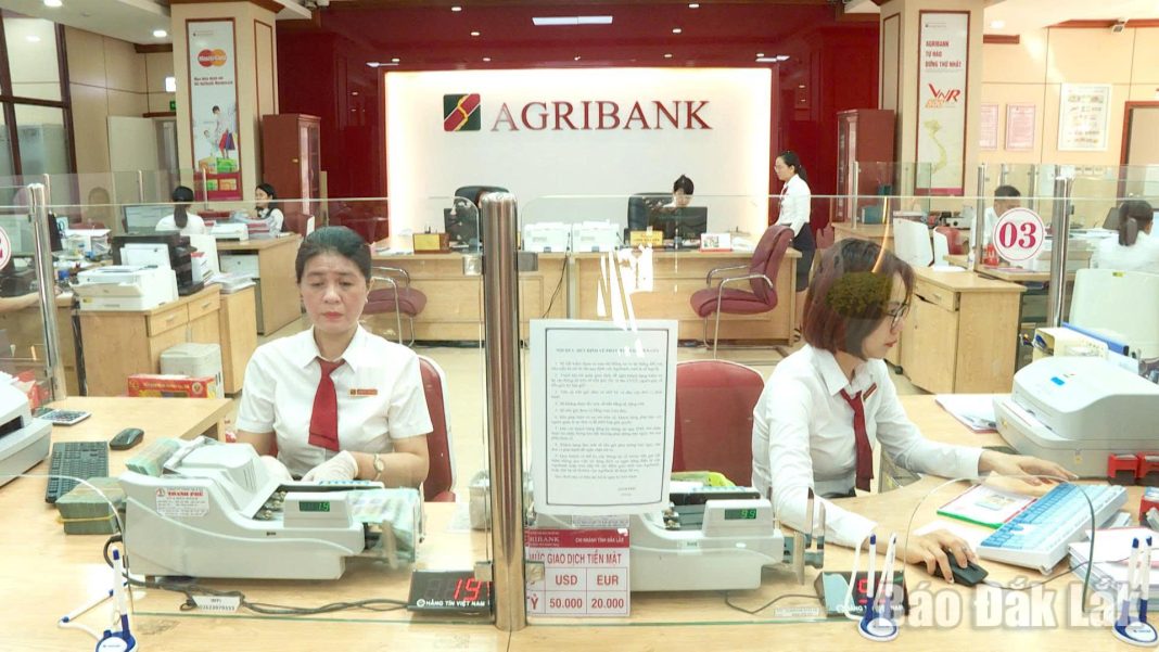 Tăng trưởng tín dụng tỉnh Đắk Lắk cao hơn mức bình quân toàn quốc