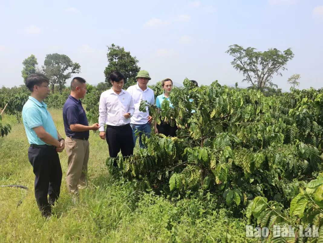 Tín dụng ưu đãi: Góp phần nâng cao giá trị sản phẩm